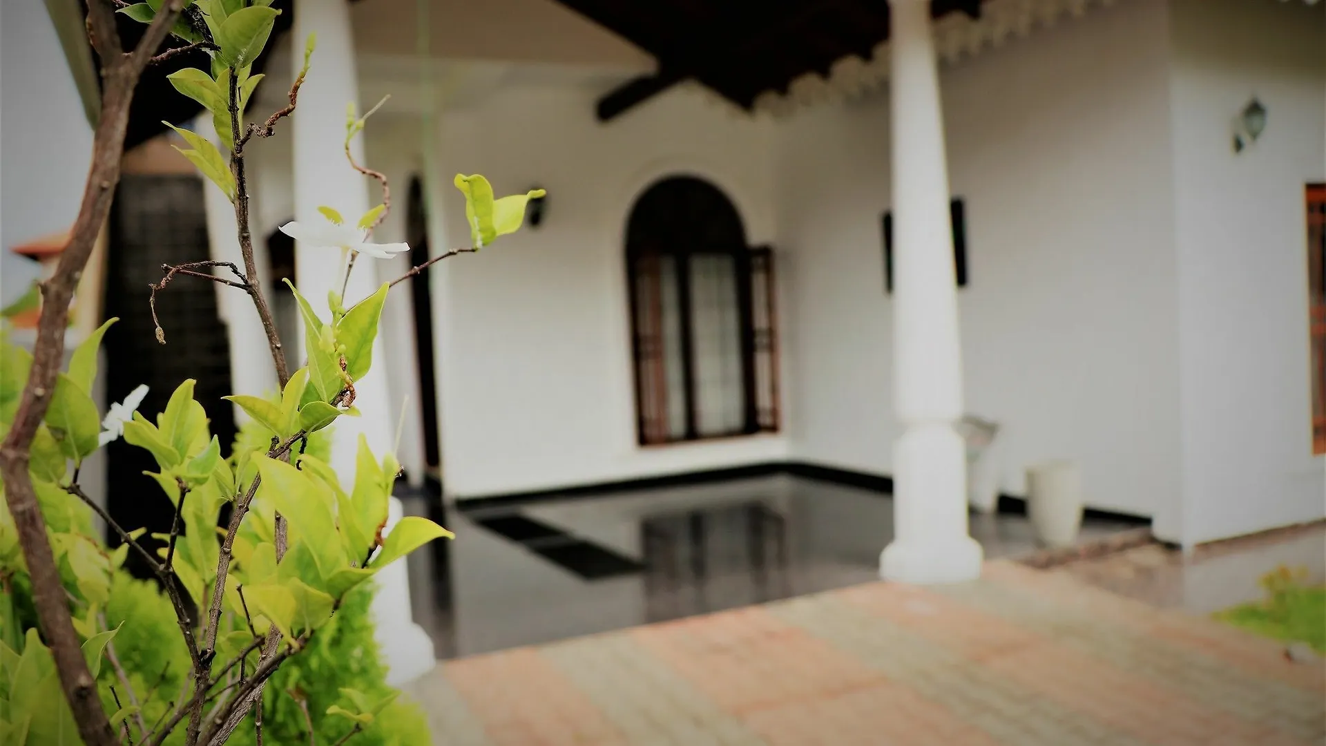 Eos Hostels Ettukala Sri Lanka